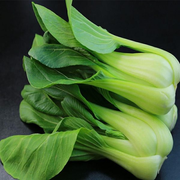 Grønnsaksfrø |   Kremet Hurtigvoksende Pak Choi Frø – Sanxiu Oljevekst Med Svært Kort Vekstperiode, Egnet For Dyrking På Balkongen Året Rundt. Grønnsaksfrø Grønnsaksfrø